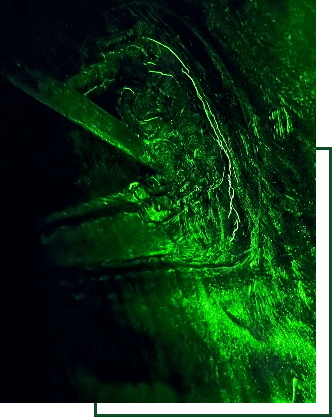 Glowing green abstract texture